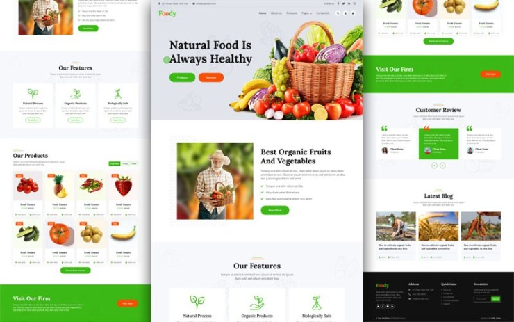 Foody – Organic Food Website Template